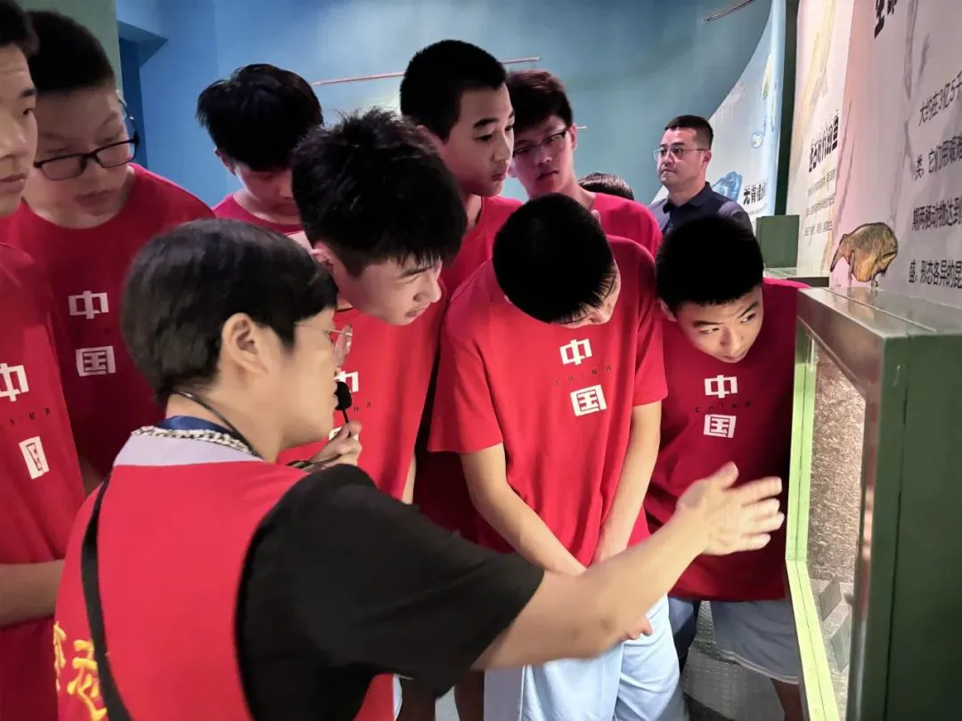 如何提高篮球罚球命中率?_0